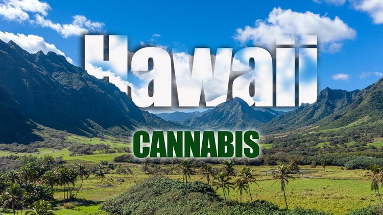 Let’s Be Blunt with Montel: Cooperative Cannabis Farming with Jason Hanley